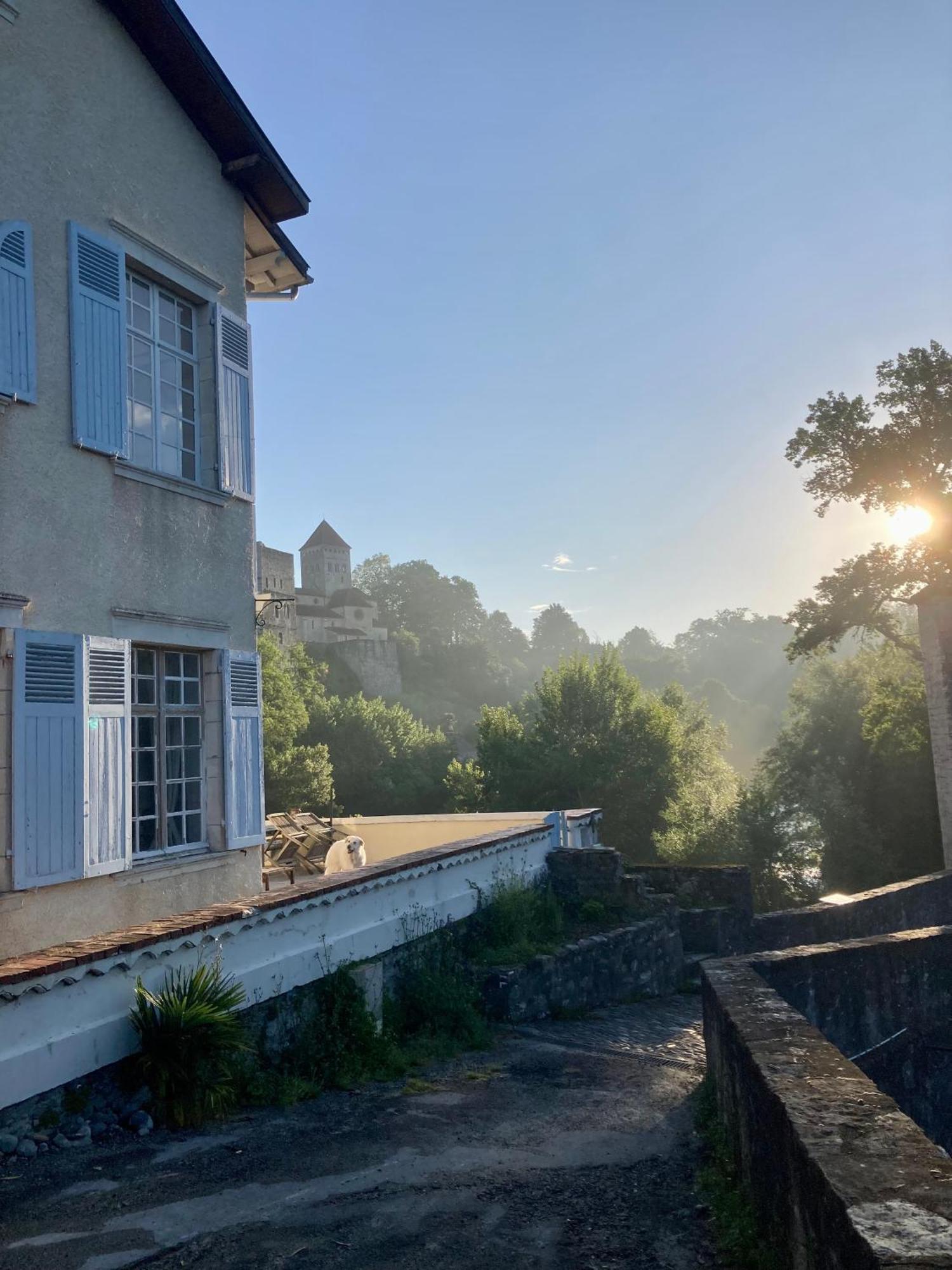Maison Du Gave Sauveterre-de-Bearn Eksteriør billede